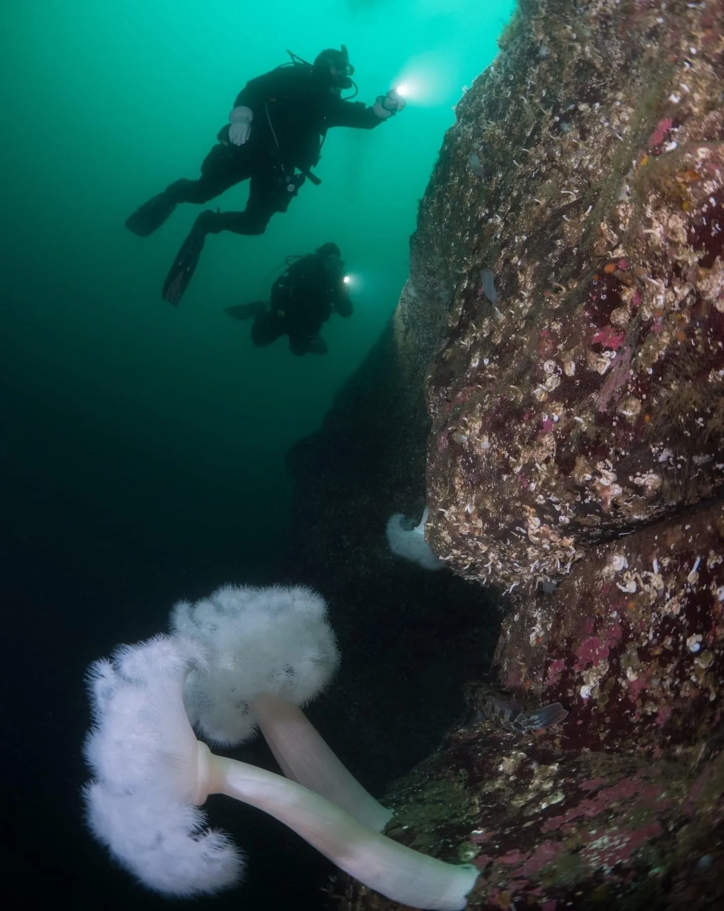 PADI Drift Diver - includes eLearning & Tuition